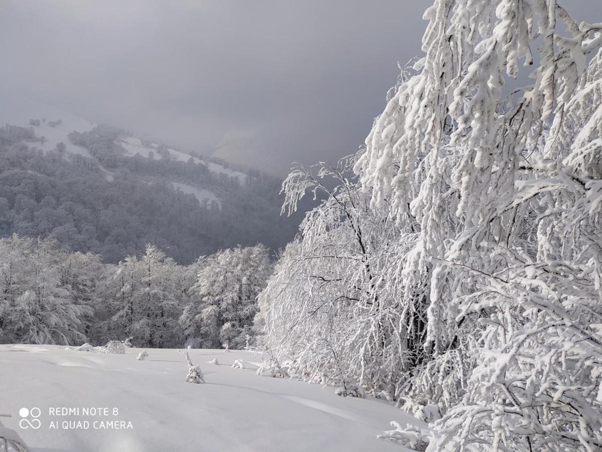 Sadyba Gostynniy Dvir Hotel Izki Buitenkant foto