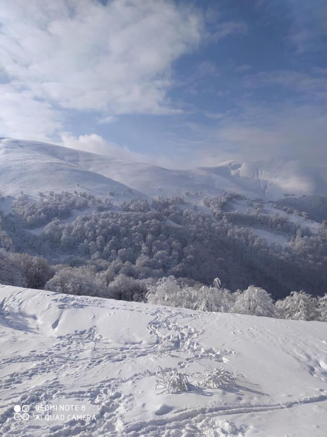 Sadyba Gostynniy Dvir Hotel Izki Buitenkant foto